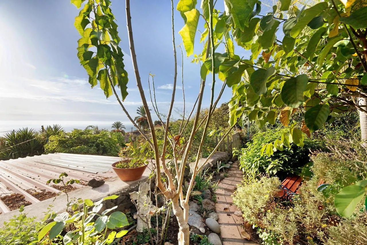 Casa La Panacea Apartman Breña Baja